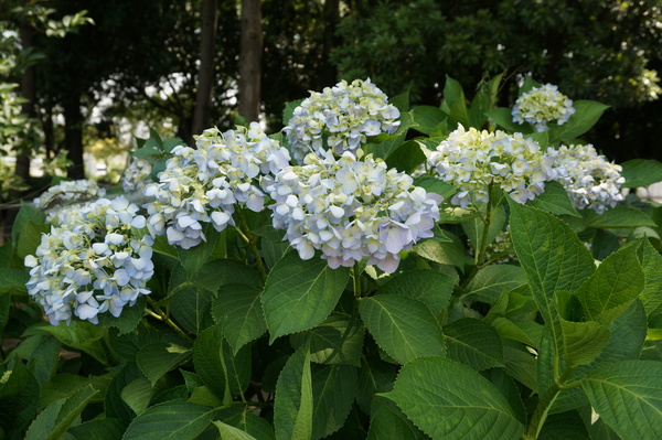 f:id:gzutetsu:20140531132820j:image