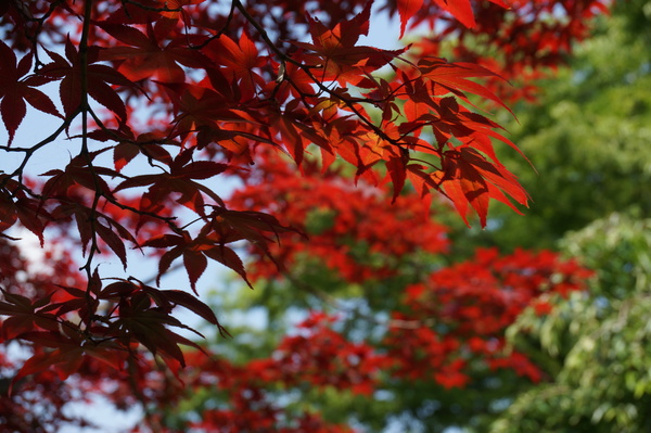 f:id:gzutetsu:20140531142755j:image