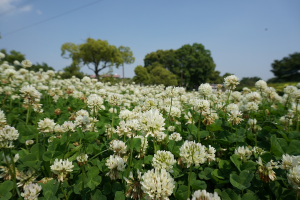 f:id:gzutetsu:20140531144257j:image