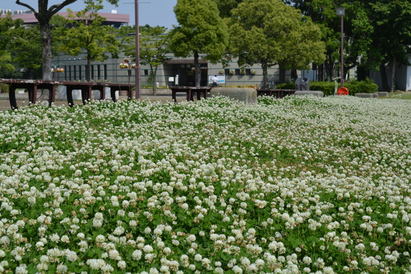 f:id:gzutetsu:20140531144525j:image