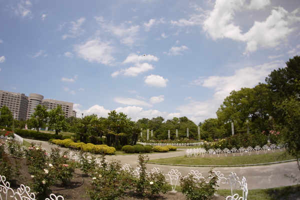 f:id:gzutetsu:20140614130223j:image