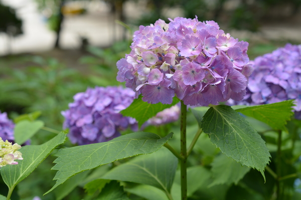 f:id:gzutetsu:20140614132104j:image