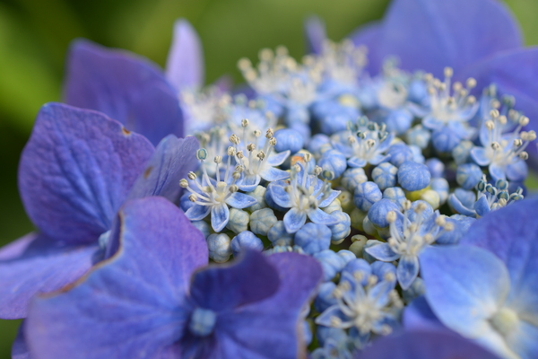 f:id:gzutetsu:20140614132951j:image