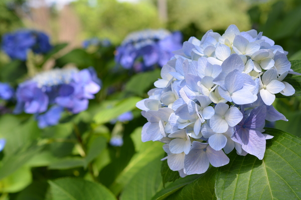 f:id:gzutetsu:20140614133128j:image