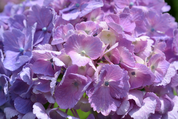 f:id:gzutetsu:20140614133605j:image