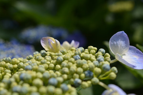 f:id:gzutetsu:20140614133654j:image