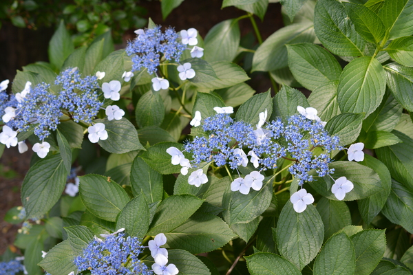 f:id:gzutetsu:20140614135539j:image