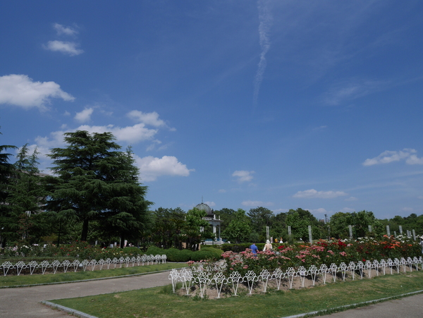 f:id:gzutetsu:20140614141514j:image