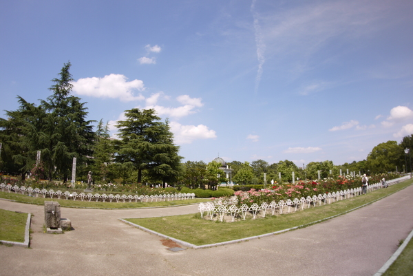 f:id:gzutetsu:20140614141812j:image