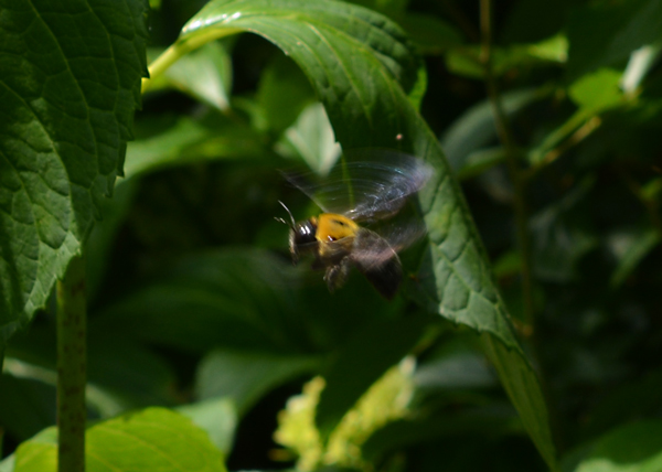 f:id:gzutetsu:20140615090944j:image