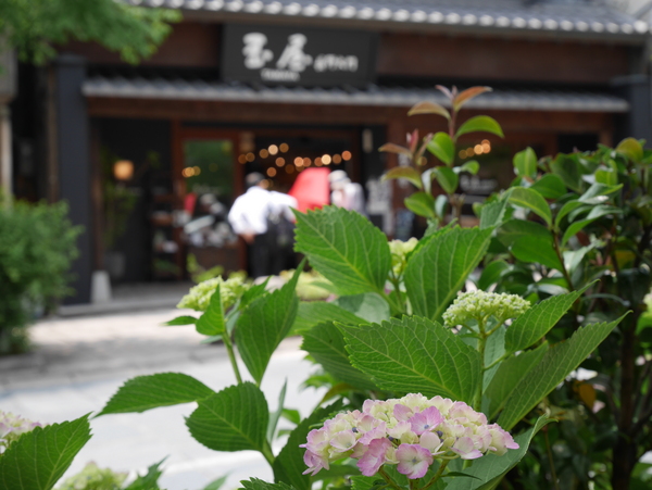 f:id:gzutetsu:20140621122143j:image
