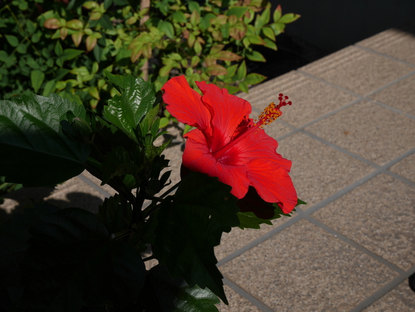 f:id:gzutetsu:20140712080857j:image