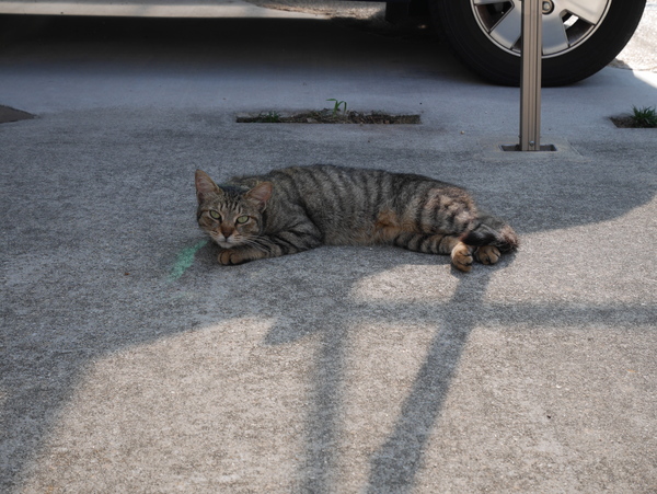 f:id:gzutetsu:20140712081627j:image