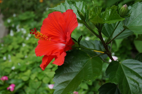 f:id:gzutetsu:20140713093819j:image