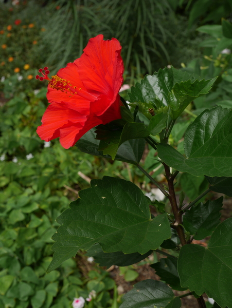 f:id:gzutetsu:20140802095503j:image