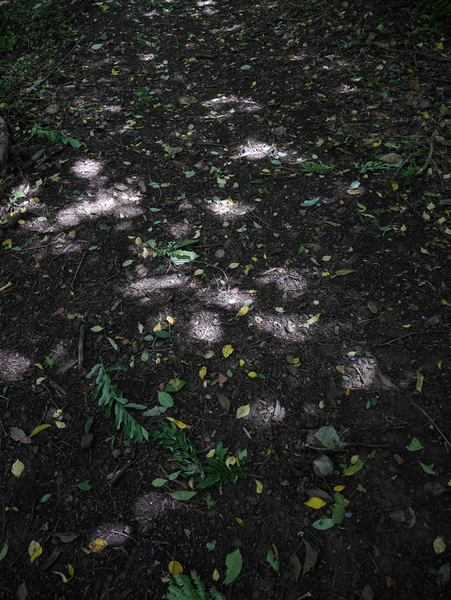 f:id:gzutetsu:20140811102911j:image