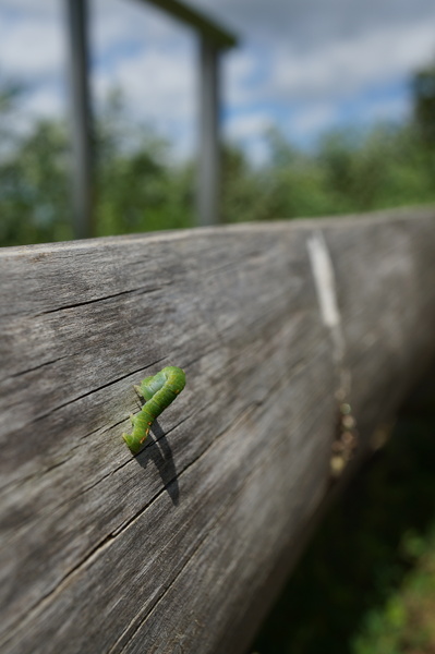 f:id:gzutetsu:20140811105515j:image