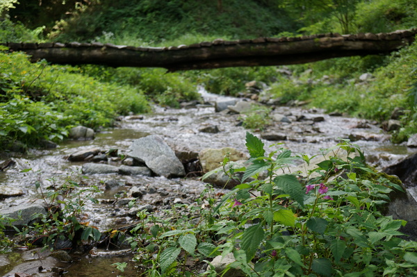 f:id:gzutetsu:20140811145020j:image
