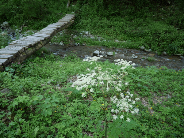f:id:gzutetsu:20140811145027j:image