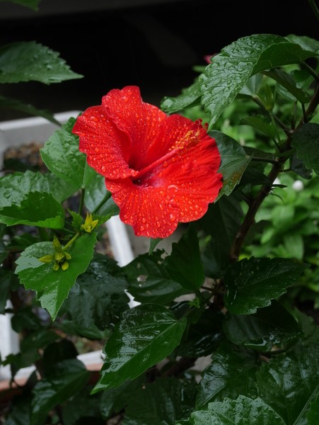 f:id:gzutetsu:20140814080012j:image