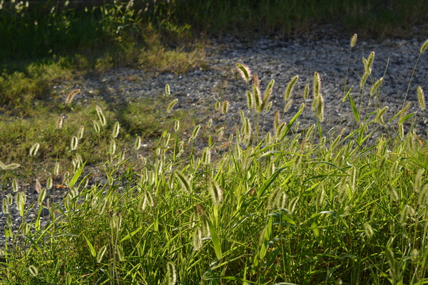f:id:gzutetsu:20140913165129j:image