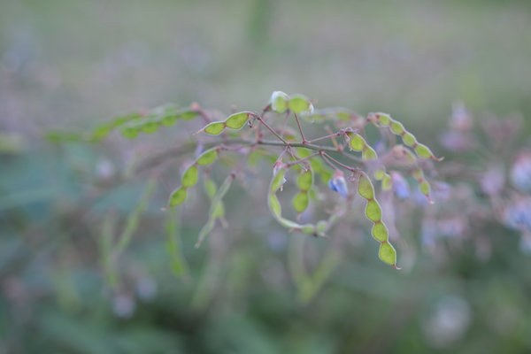 f:id:gzutetsu:20140913172507j:image