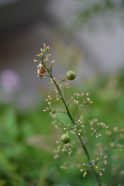 f:id:gzutetsu:20140913175238j:image