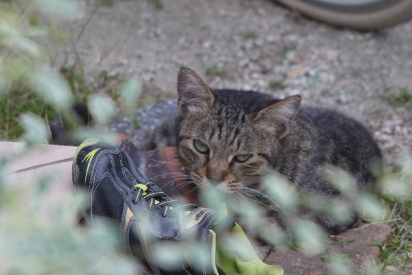 f:id:gzutetsu:20140920092332j:image