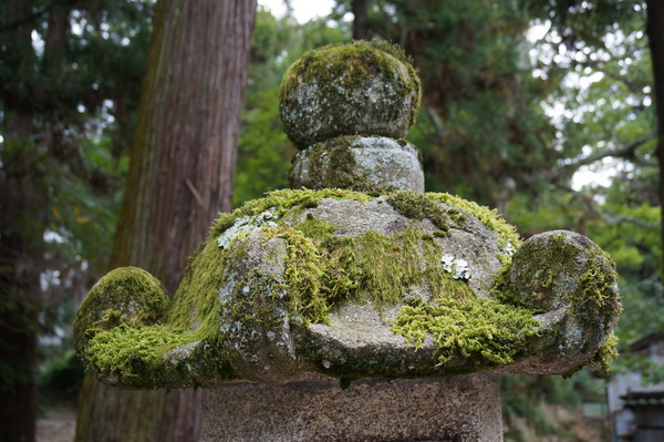 f:id:gzutetsu:20141004134439j:image f:id:gzutetsu:20141004134439j:image