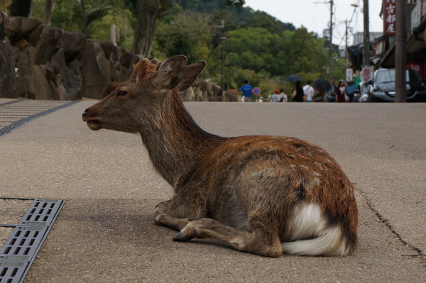 f:id:gzutetsu:20141004144507j:image f:id:gzutetsu:20141004144507j:image