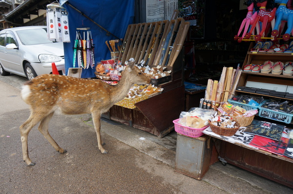 f:id:gzutetsu:20141004144715j:image f:id:gzutetsu:20141004144715j:image