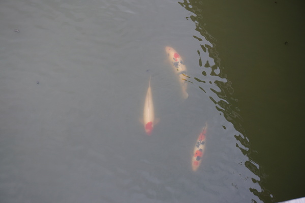 f:id:gzutetsu:20141004163140j:image f:id:gzutetsu:20141004163140j:image
