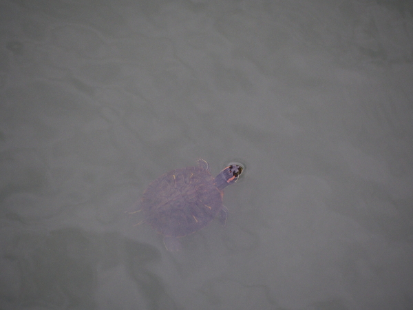 f:id:gzutetsu:20141004163225j:image f:id:gzutetsu:20141004163225j:image