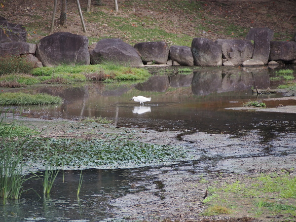 f:id:gzutetsu:20141004163307j:image f:id:gzutetsu:20141004163307j:image