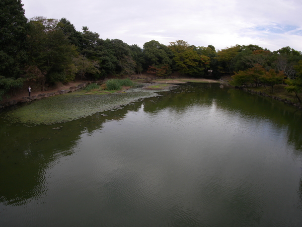 f:id:gzutetsu:20141004163423j:image f:id:gzutetsu:20141004163423j:image