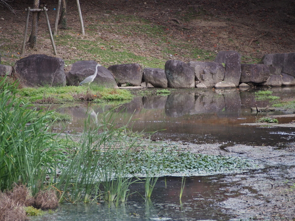 f:id:gzutetsu:20141004163558j:image f:id:gzutetsu:20141004163558j:image