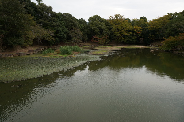 f:id:gzutetsu:20141004163654j:image f:id:gzutetsu:20141004163654j:image