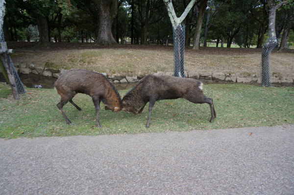 f:id:gzutetsu:20141004164900j:image f:id:gzutetsu:20141004164900j:image