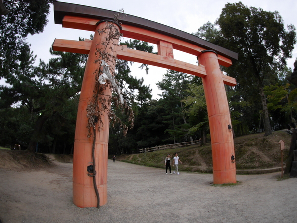 f:id:gzutetsu:20141004165045j:image f:id:gzutetsu:20141004165045j:image