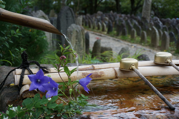 f:id:gzutetsu:20141005133115j:image
