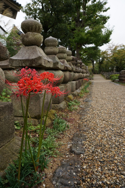 f:id:gzutetsu:20141005134905j:image