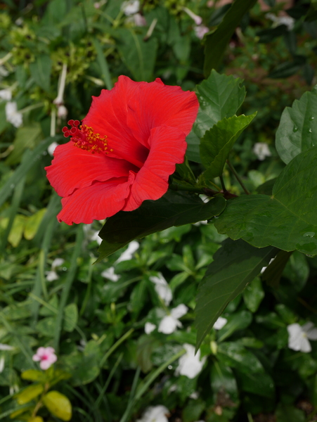 f:id:gzutetsu:20141102091845j:image