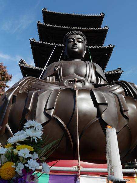 f:id:gzutetsu:20141123113511j:image