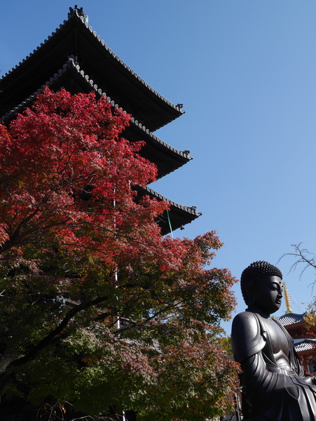 f:id:gzutetsu:20141123113622j:image