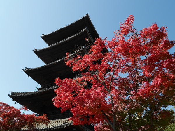 f:id:gzutetsu:20141123114308j:image