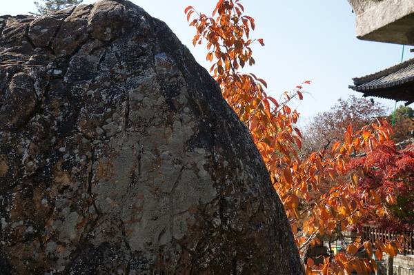 f:id:gzutetsu:20141123115249j:image