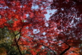 20141123120534