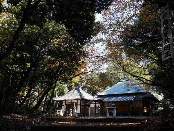f:id:gzutetsu:20141123122344j:image