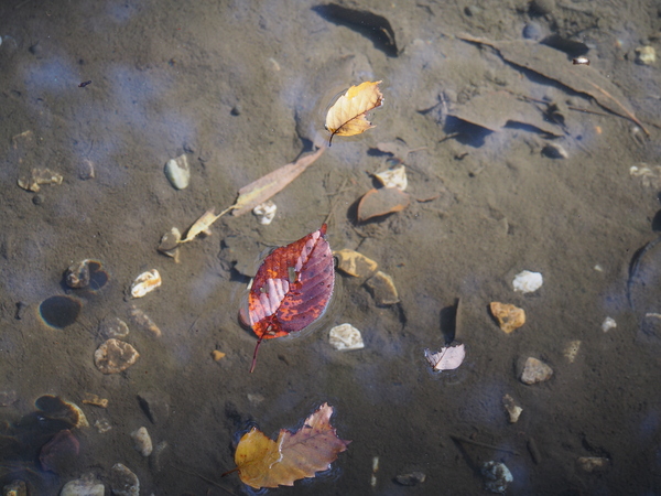 f:id:gzutetsu:20141123125226j:image