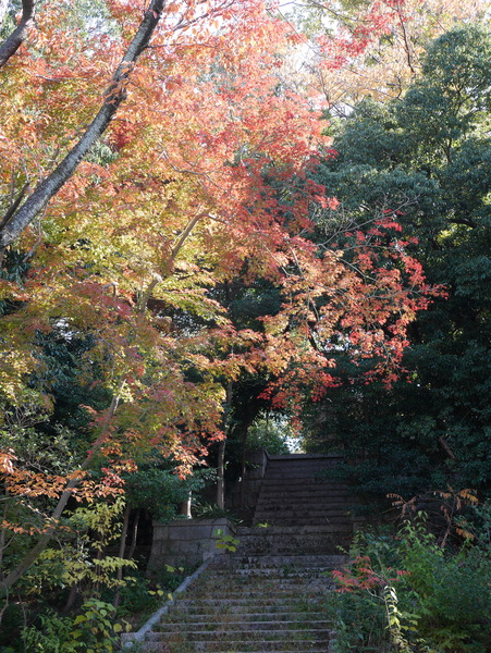 f:id:gzutetsu:20141123125439j:image